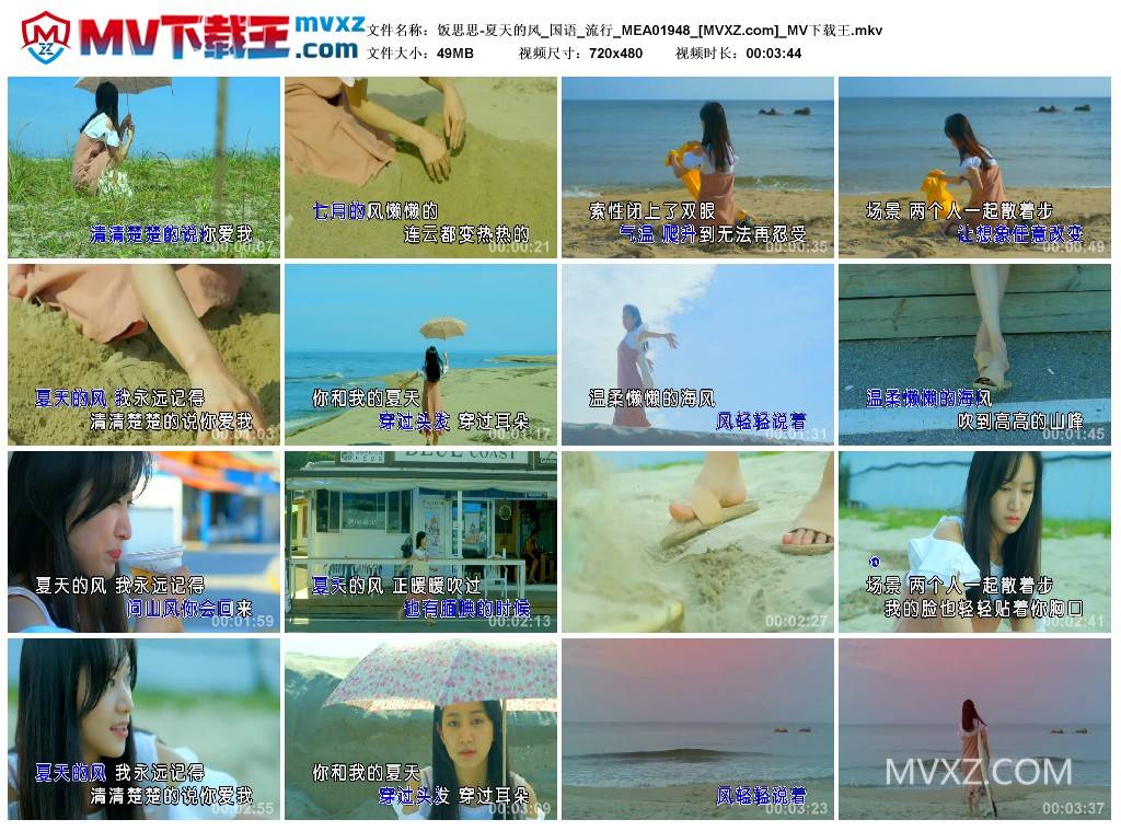 饭思思-夏天的风_国语_流行_MEA01948